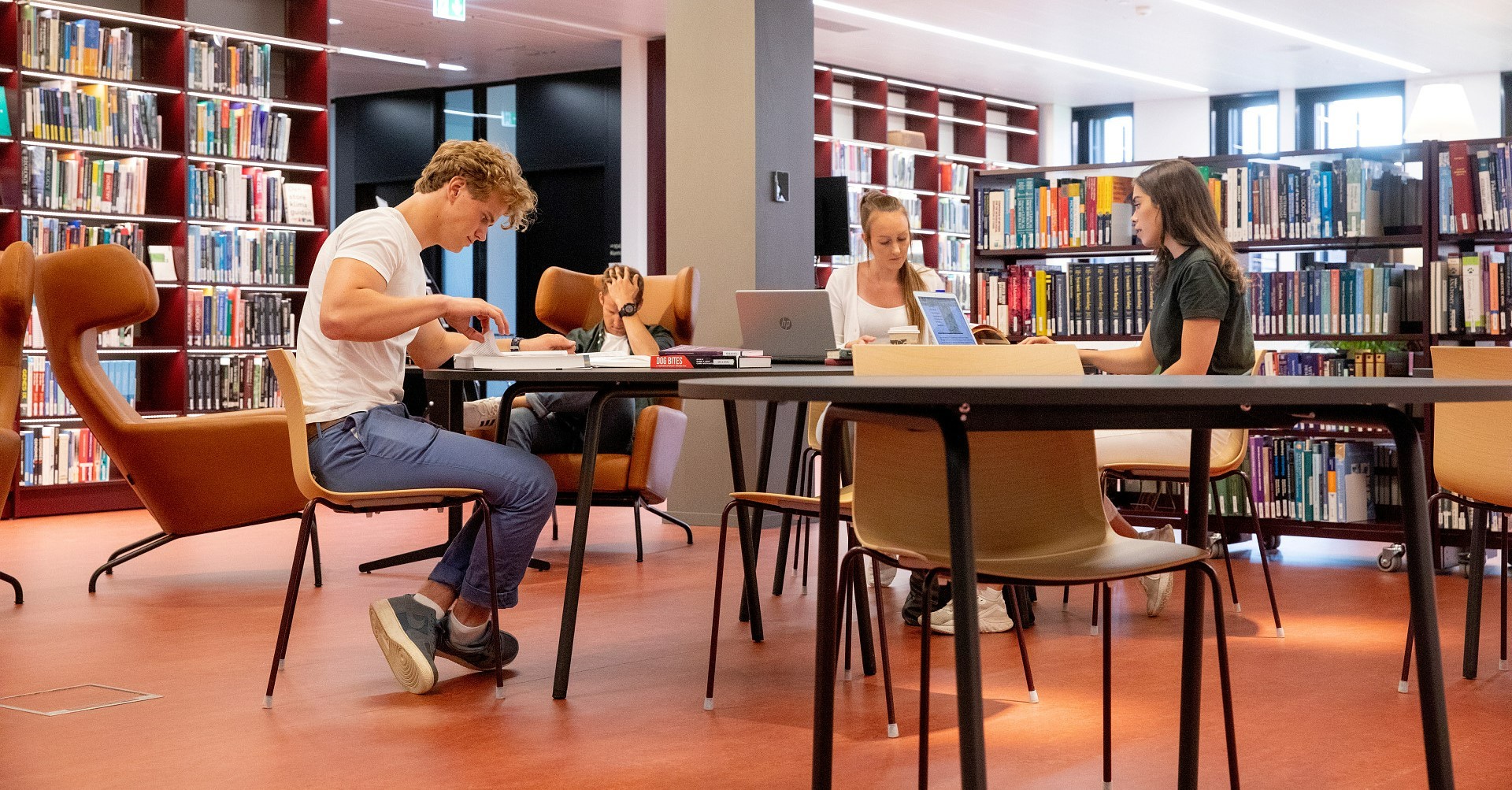 studenter i biblioteket på NMBU